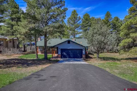454 Lakewood St, Pagosa Springs, CO 81147