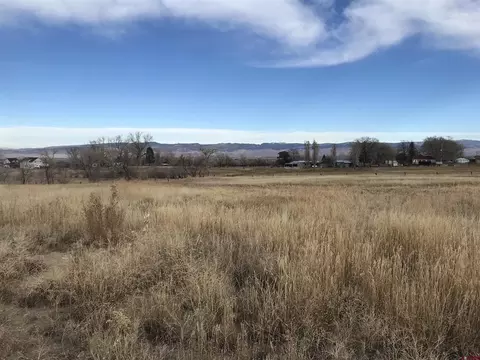 58509 Spring Creek Rd, Montrose, CO 81403