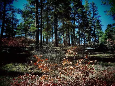 1208 Oak Dr, Pagosa Springs, CO 81147