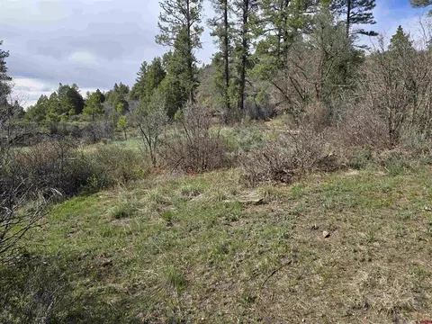 1029 Beucler, Pagosa Springs, CO 81147