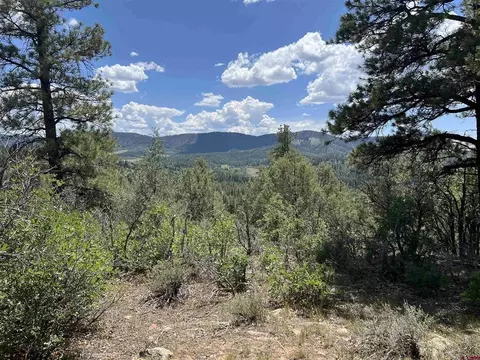 737 Starling Cir, Pagosa Springs, CO 81147
