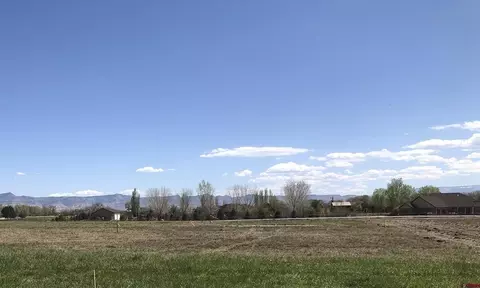 1225 Lazy V Ln, Fruita, CO 81521
