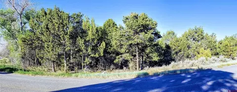 Lot 2 2550 Road, Cedaredge, CO 81418