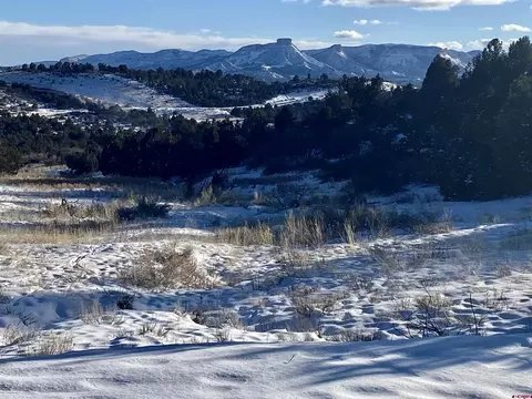 Lot A Road P.2, Mancos, CO 81328