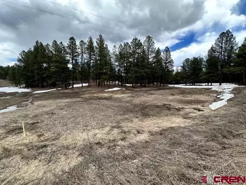 423 Beaver Creek Dr, Bayfield, CO 81122