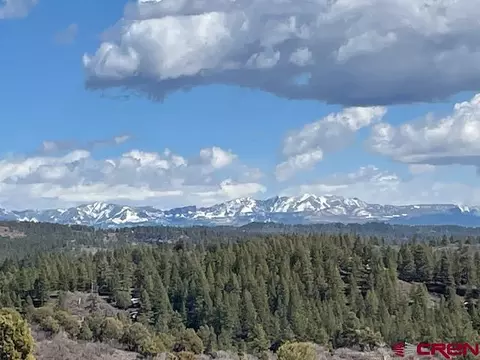 1307 Cactus Dr, Pagosa Springs, CO 81147