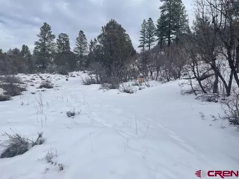 389 Bobcat Ln, Pagosa Springs, CO 81147