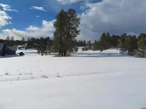 39 S Pinescent Ct, Pagosa Springs, CO 81147