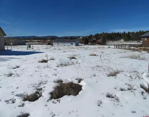 670 Midiron Ave, Pagosa Springs, CO 81147