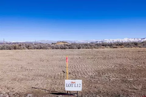 lot12 Galway Ct, Montrose, CO 81401