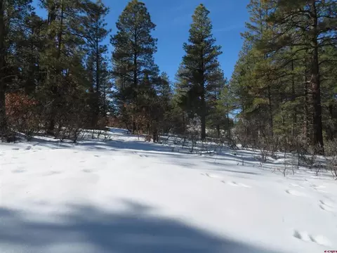 607 Oakridge, Pagosa Springs, CO 81147