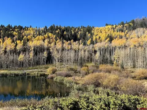 172 Balsam Trl, Cimarron, CO 81220