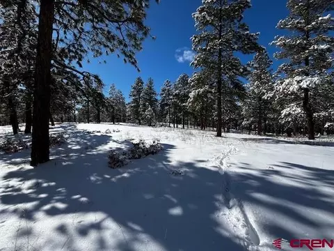 91 Log Cabin Ln, Bayfield, CO 81122