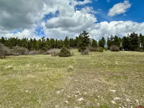 163 Laurel Dr, Pagosa Springs, CO 81147