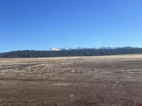 Lot 5 Road 32, Mancos, CO 81328