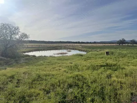 Lot 3 Road 32, Mancos, CO 81328