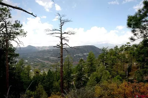 679 Chelsey Ln, Durango, CO 81301