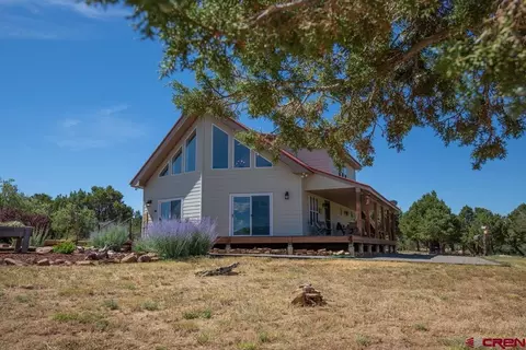 225 Sand Ridge Ct, Hesperus, CO 81326