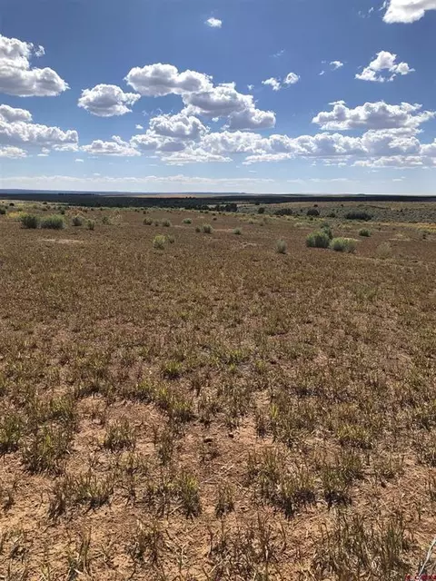 663 Crystal Acres, Hesperus, CO 81326