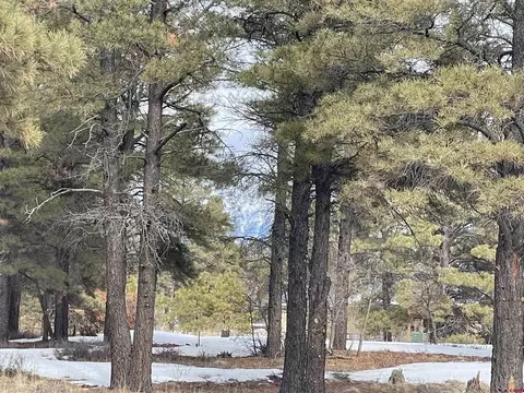 224 Mansions Cir, Pagosa Springs, CO 81147