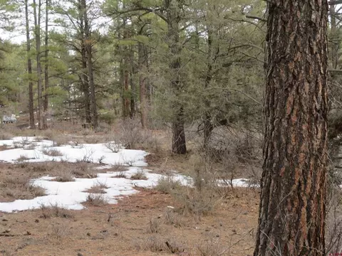 764 Meadow Lark Dr, Pagosa Springs, CO 81147