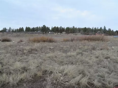 11021 W 11050 W Highway 160, Pagosa Springs, CO 81147