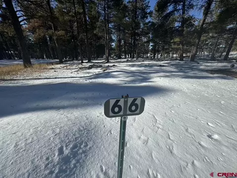 66 Antelope Ave, Pagosa Springs, CO 81147