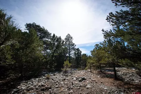 501 Mill Run Rd, Mosca, CO 81146