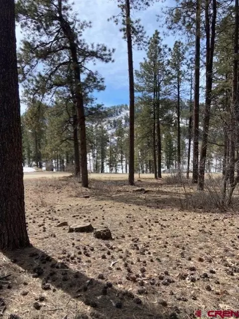 31 E Forest Lakes Dr, Bayfield, CO 81122