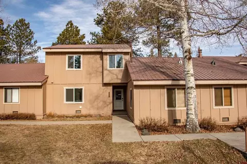 160 Pinon Cswy #3047, Pagosa Springs, CO 81147
