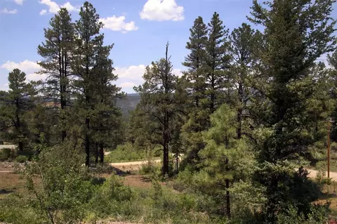 1180 Beucler Ln, Pagosa Springs, CO 81147