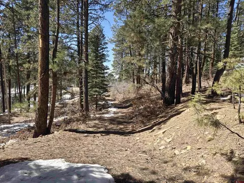 lot9 Groves Dr, Durango, CO 81301