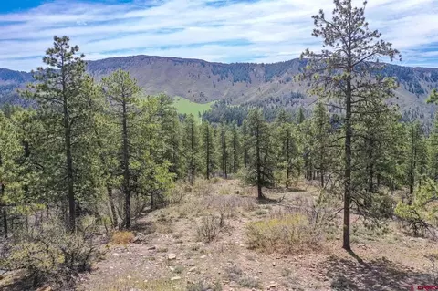 339 Big Bear Trl, Durango, CO 81301