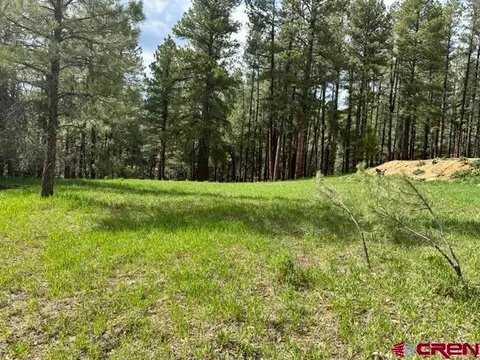203 Snowbird Ct, Bayfield, CO 81122
