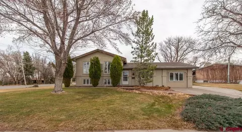 101 Vista View Dr, Montrose, CO 81401