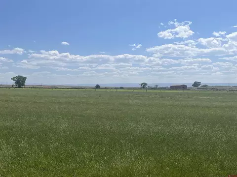 tbd D50 Rd, Delta, CO 81416 photo 8