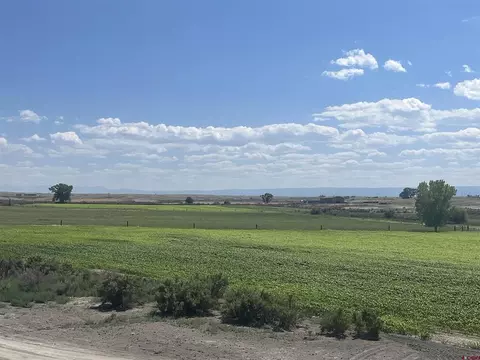 tbd D50 Rd, Delta, CO 81416 photo 10