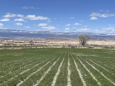 tbd D50 Rd, Delta, CO 81416 photo 12