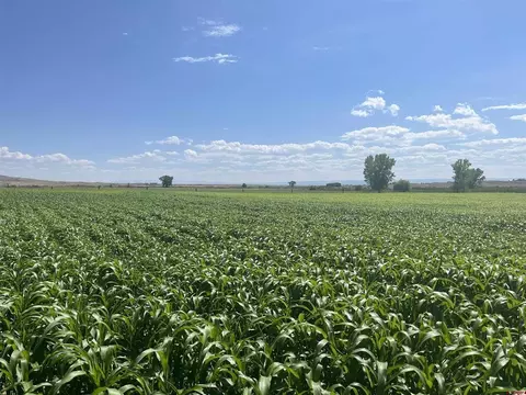 tbd D50 Rd, Delta, CO 81416 photo 9