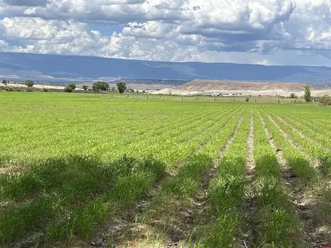 tbd D50 Rd, Delta, CO 81416 photo 3