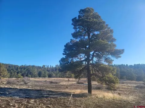 679 Trails Blvd, Pagosa Springs, CO 81147