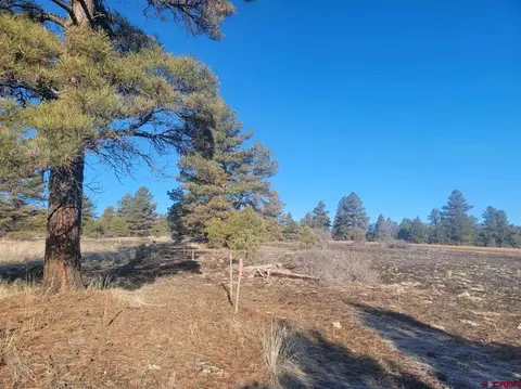 176 Landau, Pagosa Springs, CO 81147