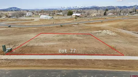 152 Cielo Way, Durango, CO 81303 photo 20