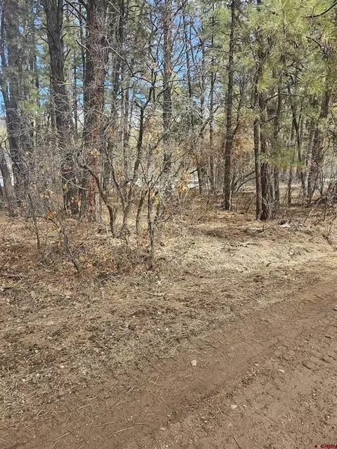 379 Spruce Cir, Pagosa Springs, CO 81147