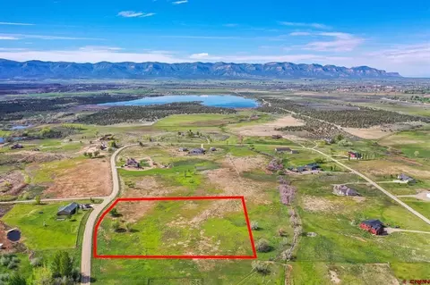 Lot 19 Road 28.3, Dolores, CO 81323