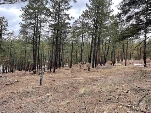 944 Skyline Dr, Bayfield, CO 81122