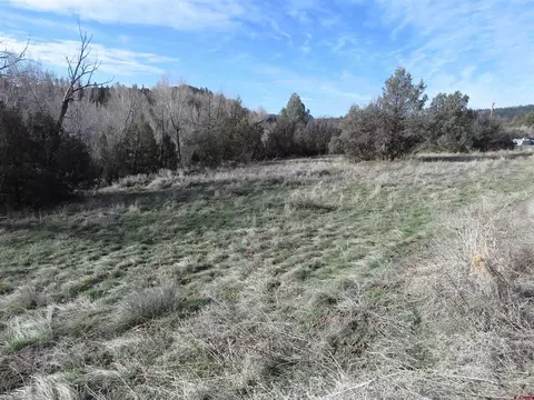 5612 County Rpad 335 And X Caballo Pl, Pagosa Springs, CO 81147