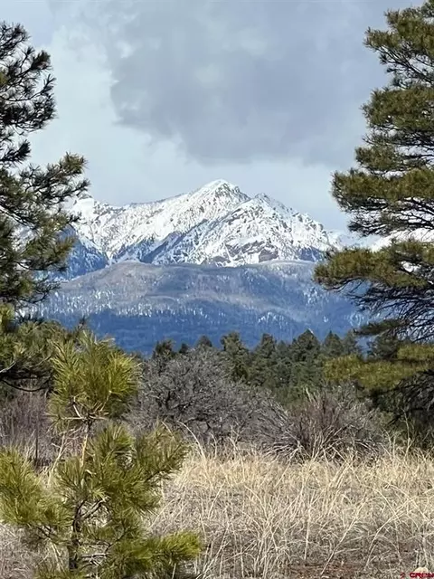 8 Shelter Pl, Pagosa Springs, CO 81147
