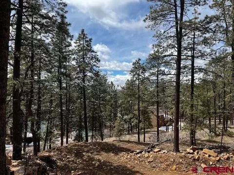 332 Hillside Dr, Bayfield, CO 81122