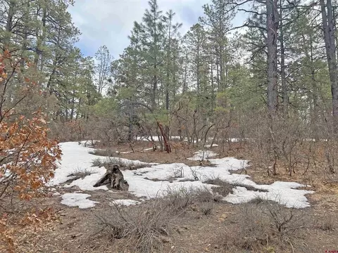 241 Wits End Pl, Pagosa Springs, CO 81147